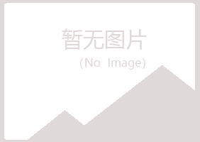 包头青山友儿会计有限公司